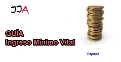 Guía Ingreso Mínimo Vital