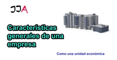 ¿Cuáles son las características generales de una empresa? Características generales de una empresa