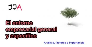 El entorno empresarial general y específico