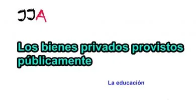 Los bienes privados provistos públicamente