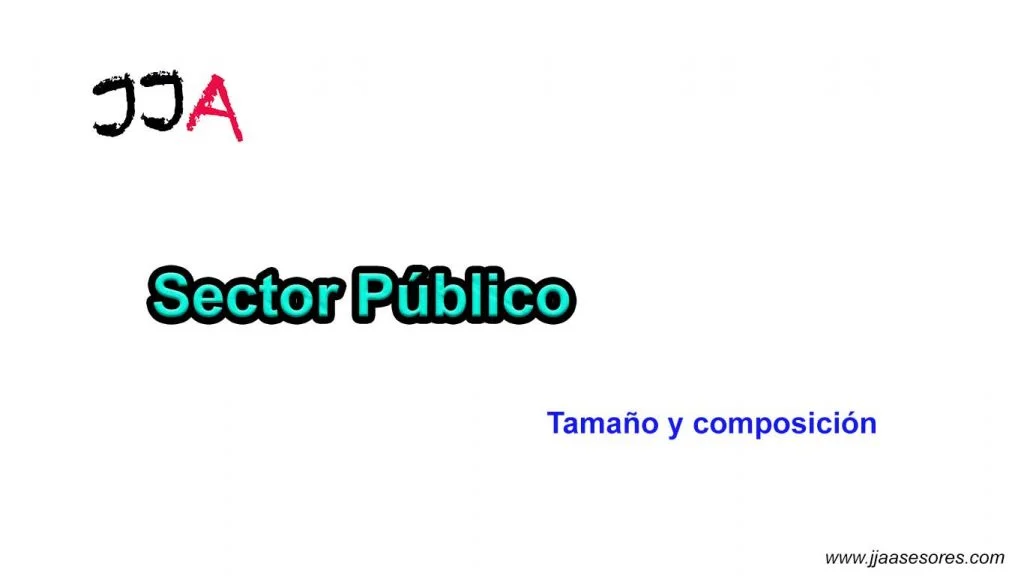 Tamaño y composición del Sector Público