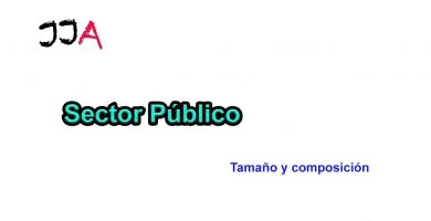 Tamaño y composición del Sector Público