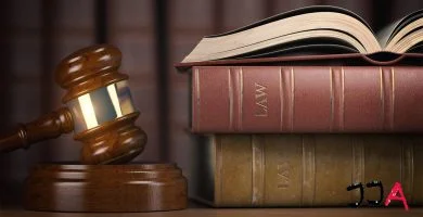 Interpretación y control de la Constitución