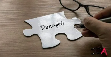 Principios que estructuran la organización de la empresa